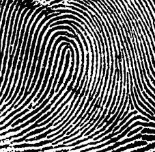 Fingerprints - The Body Farm